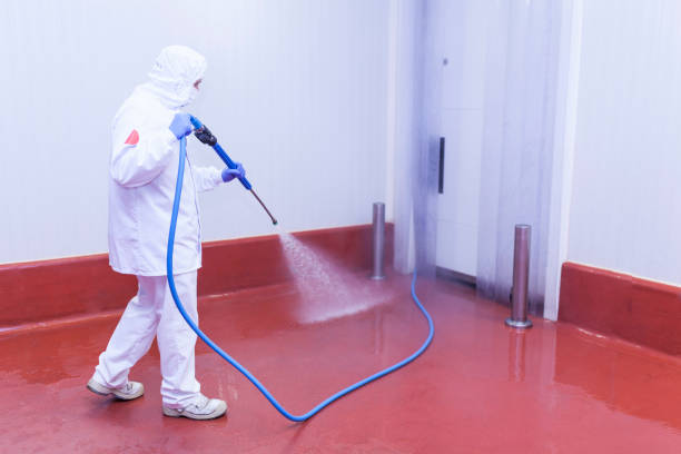 Best Driveway Pressure Washing  in Leadville, CO