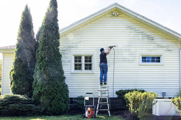 Best Solar Panel Cleaning  in Leadville, CO